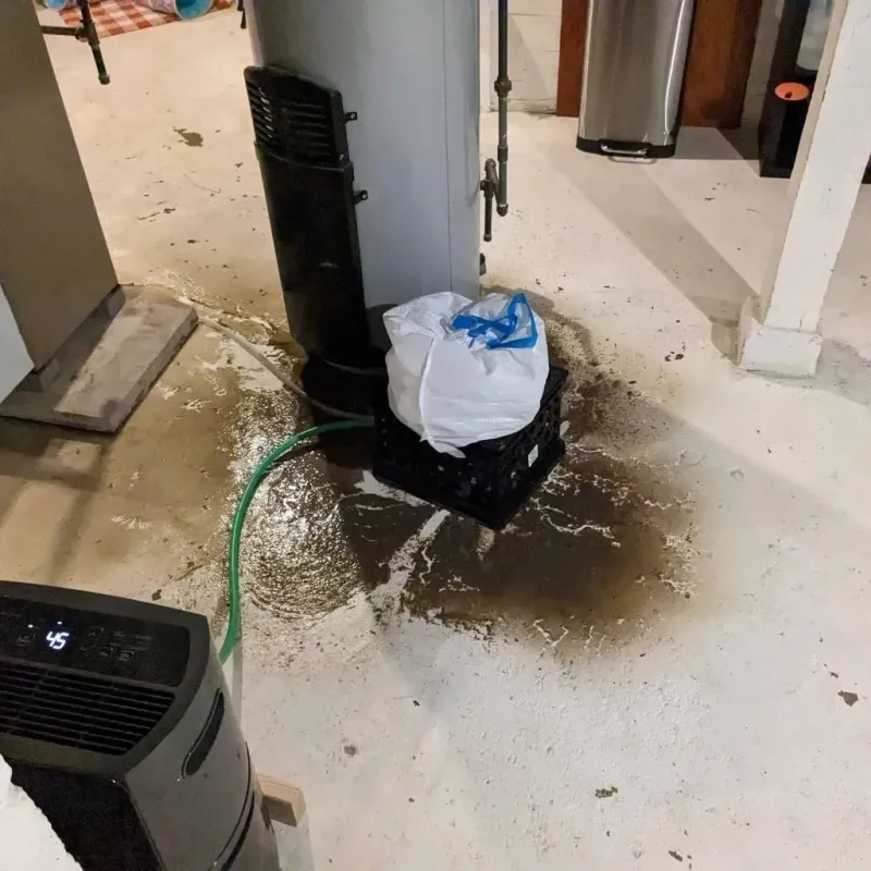 Sewage Backup Cleanup Service in Saint Lawrence, PA
